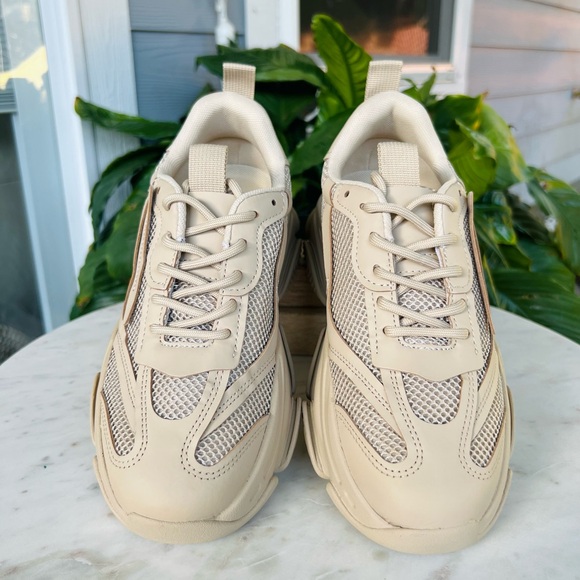 💫 STEVE MADDEN💫great Day 💫New - Picture 4 of 8